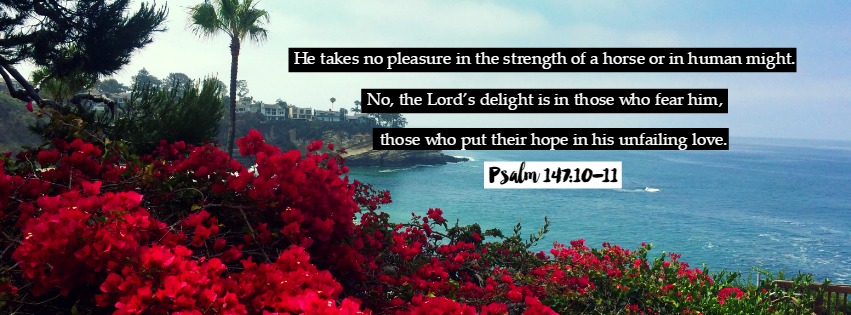 Psalm 147:10-11